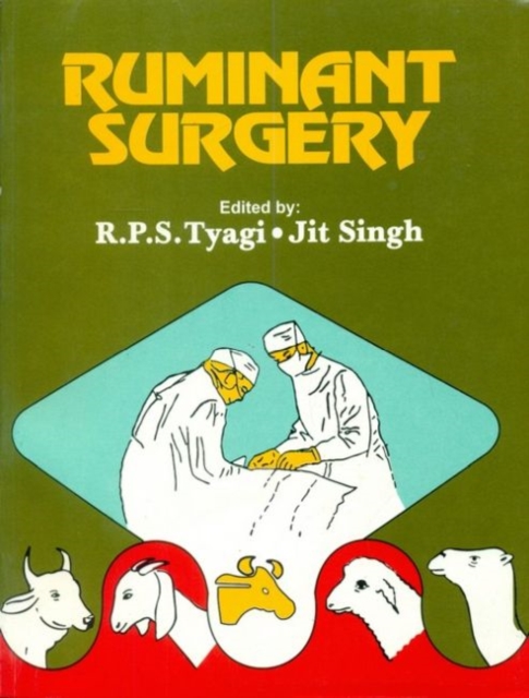 Ruminant Surgery, Paperback / softback Book
