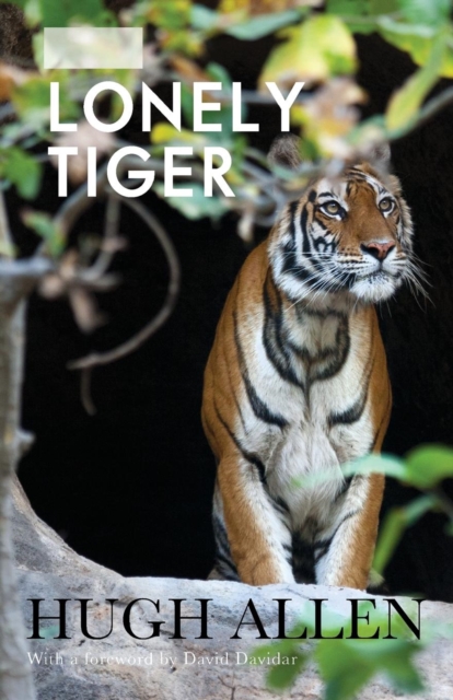 The Lonely Tiger, Paperback / softback Book