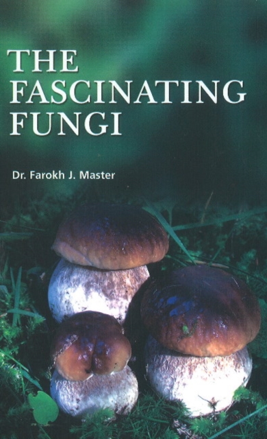 Fascinating Fungi, Paperback / softback Book