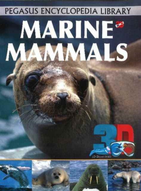 3D - Marine Mammals, Paperback / softback Book