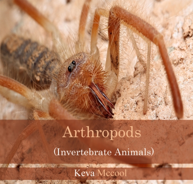 Arthropods (Invertebrate Animals), PDF eBook