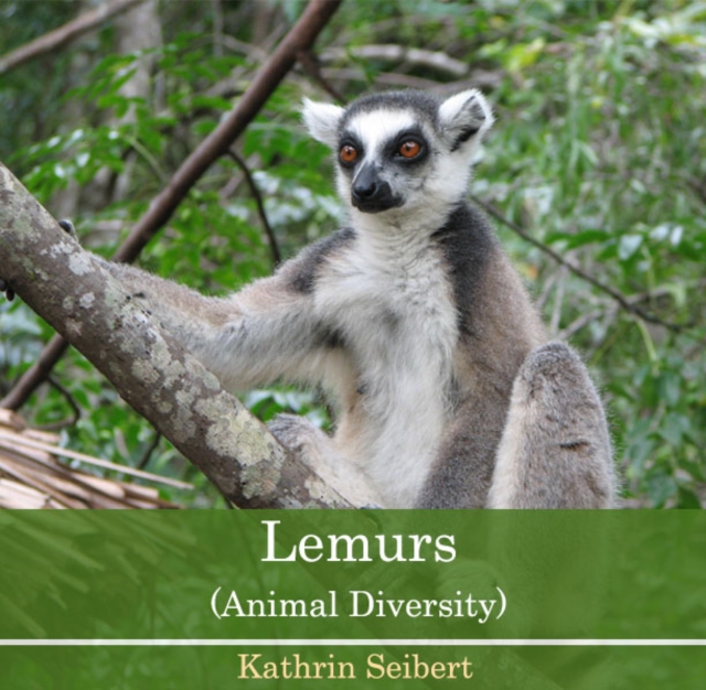 Lemurs (Animal Diversity), PDF eBook