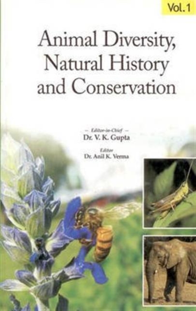 Animal Diversity, Hardback Book