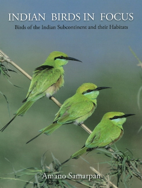 Indian Birds in Focus : Birds of the Indian Subcontinent & their Habitats, Hardback Book