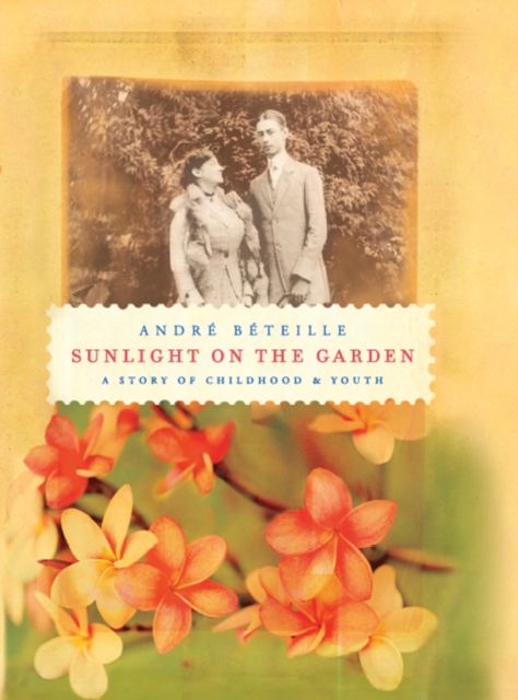 Sunlight on the Garden, EPUB eBook