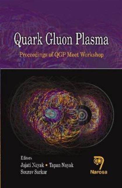 Quark Gluon Plasma : Proceedings of QGP Meet Workshop, Hardback Book