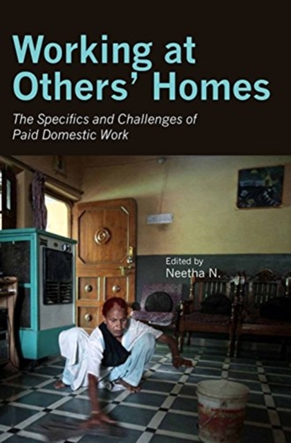 Working at Others' Homes – The Specifics and Challenges of Paid Domestic Work, Hardback Book