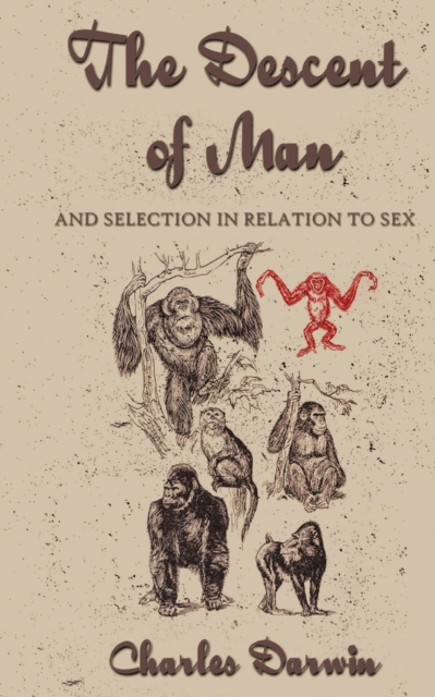 The Descent Of Man, Paperback / softback Book