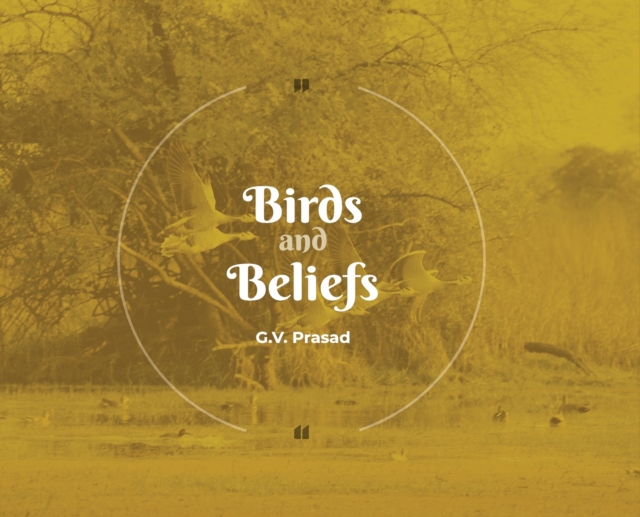 Birds and Beliefs, Hardback Book
