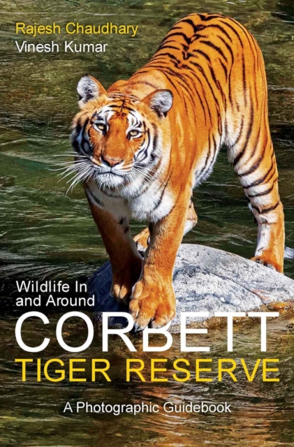 Wildlife In and Around Corbett Tiger Reserve : A Photographic Guidebook, Paperback / softback Book
