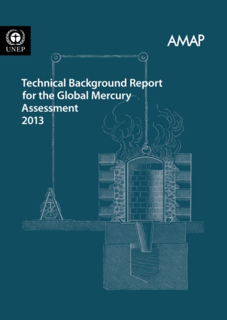 Technical background report for the global mercury assessment 2013, Paperback / softback Book