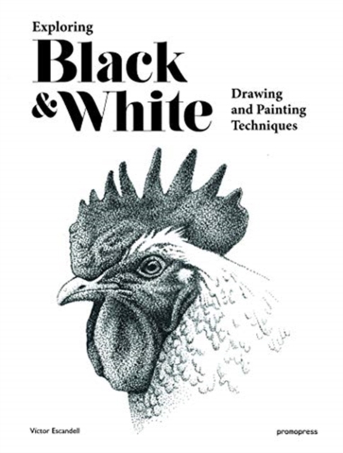 Exploring Black and White: Drawing and Painting Techniques, Hardback Book