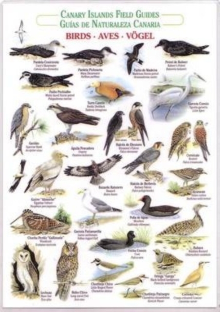 Birds (Waterproof Field Guide), Bath book Book