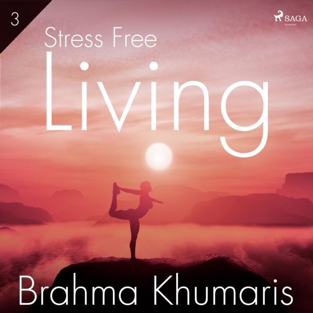 Stress Free Living 3 : Part Three, eAudiobook MP3 eaudioBook
