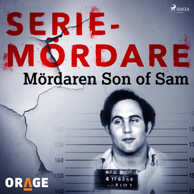 Mordaren Son of Sam, eAudiobook MP3 eaudioBook