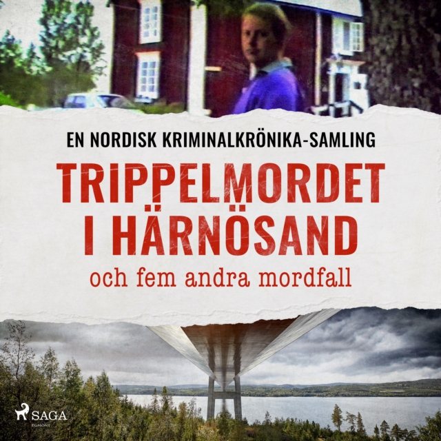 Trippelmordet i Harnosand och fem andra mordfall, eAudiobook MP3 eaudioBook