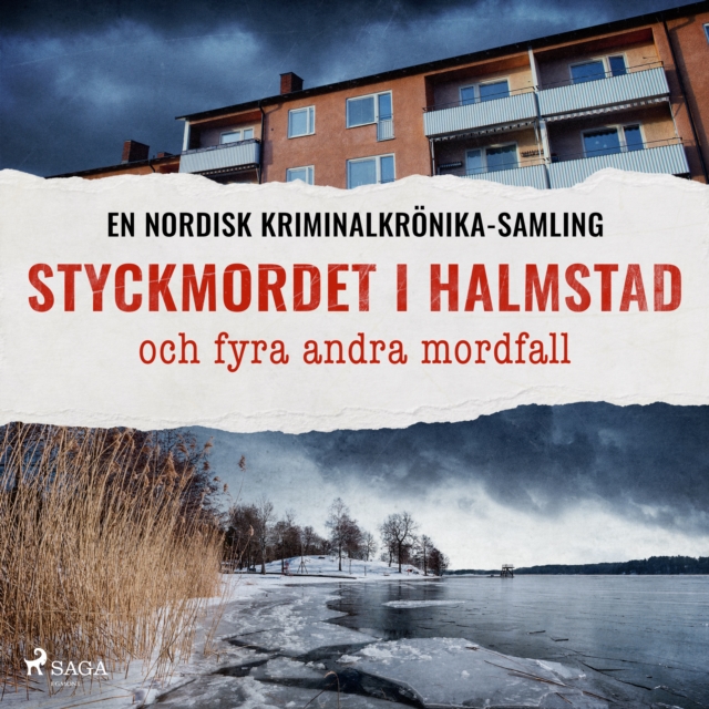 Styckmordet i Halmstad och fyra andra mordfall, eAudiobook MP3 eaudioBook