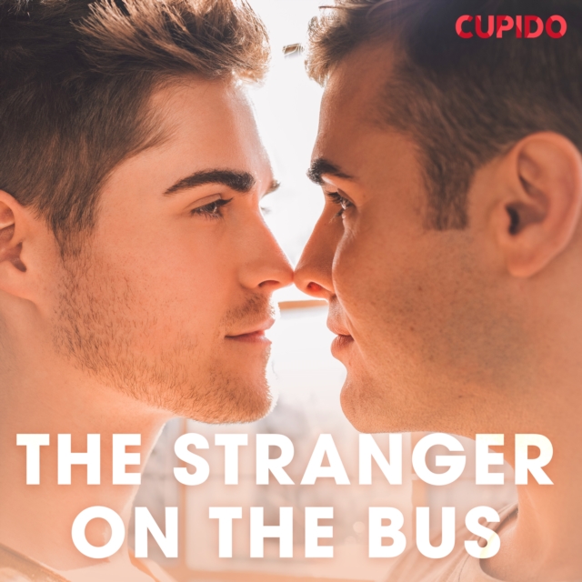 The Stranger on the Bus, eAudiobook MP3 eaudioBook