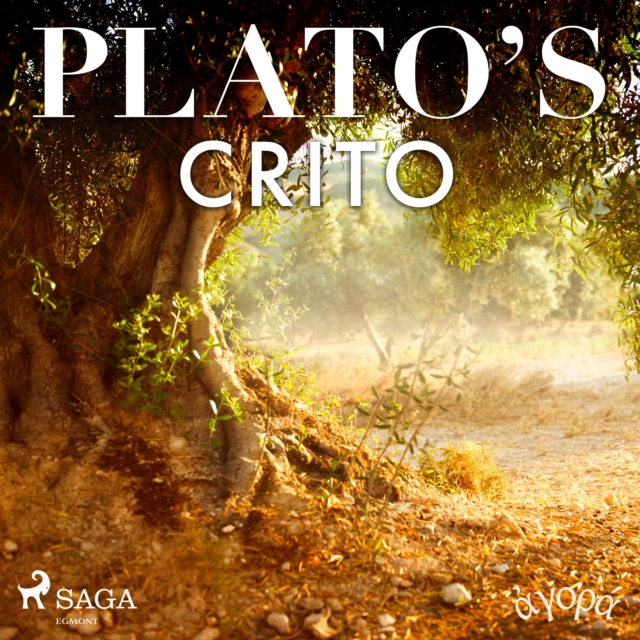 Plato's Crito, eAudiobook MP3 eaudioBook