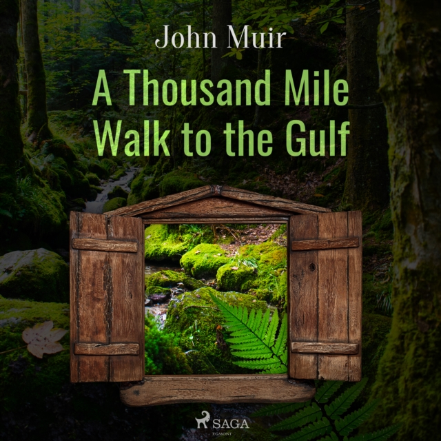 A Thousand Mile Walk to the Gulf, eAudiobook MP3 eaudioBook