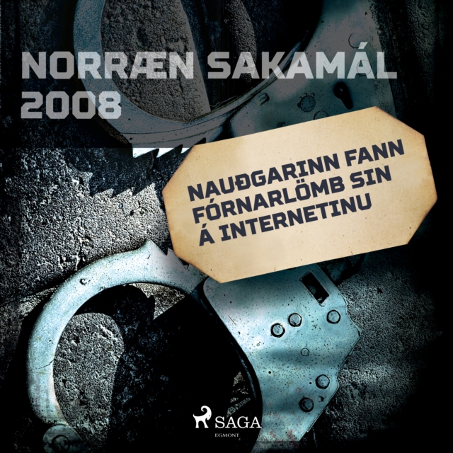 Nauðgarinn fann fornarlomb sin a internetinu : Norraen Sakamal 2008, eAudiobook MP3 eaudioBook