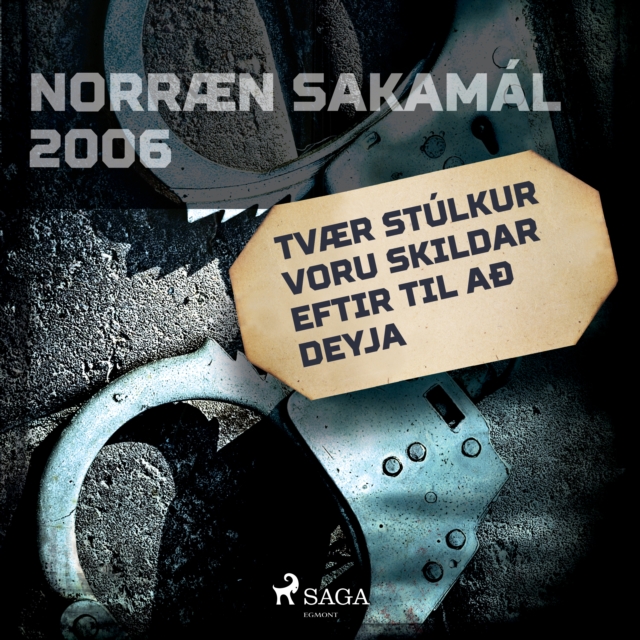 Tvaer stulkur voru skildar eftir til að deyja : Norraen Sakamal 2006, eAudiobook MP3 eaudioBook