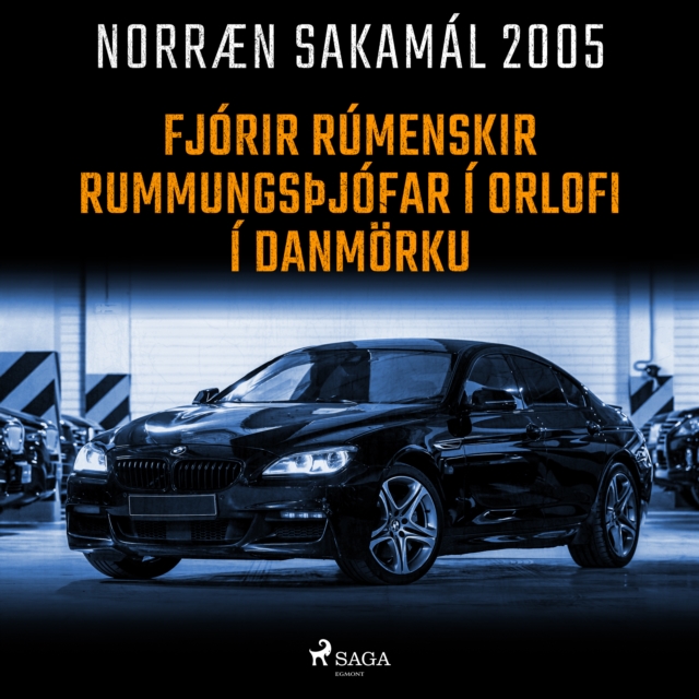Fjorir rumenskir rummungsþjofar i orlofi i Danmorku : Norraen Sakamal 2005, eAudiobook MP3 eaudioBook