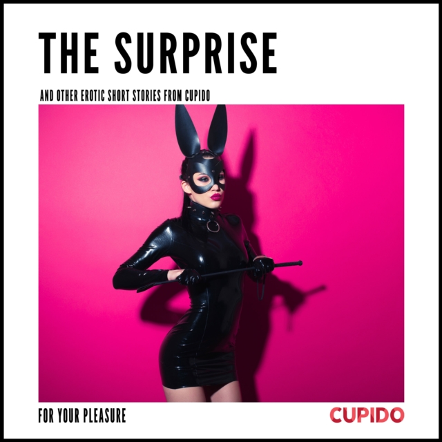 The Surprise - and other erotic short stories, eAudiobook MP3 eaudioBook