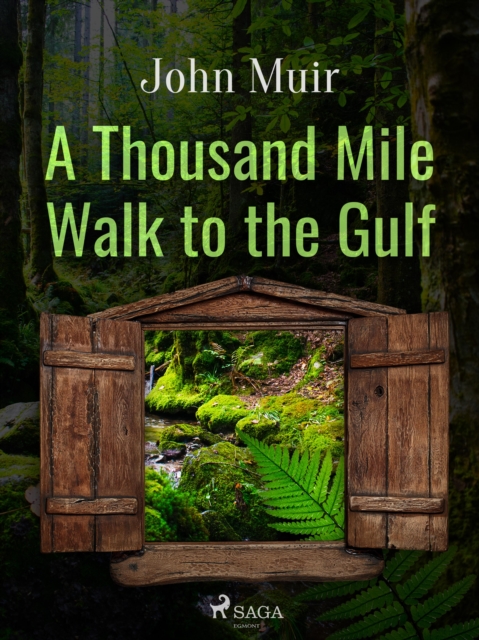 A Thousand Mile Walk to the Gulf, EPUB eBook