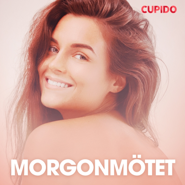 Morgonmotet - erotiska noveller, eAudiobook MP3 eaudioBook
