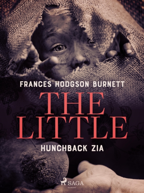 The Little Hunchback Zia, EPUB eBook