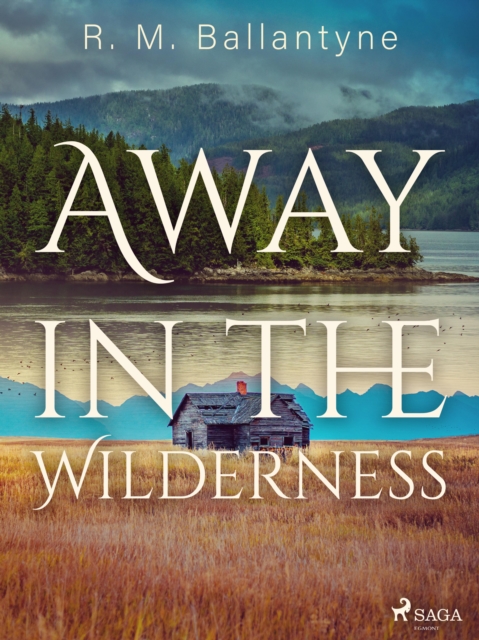 Away in the Wilderness, EPUB eBook