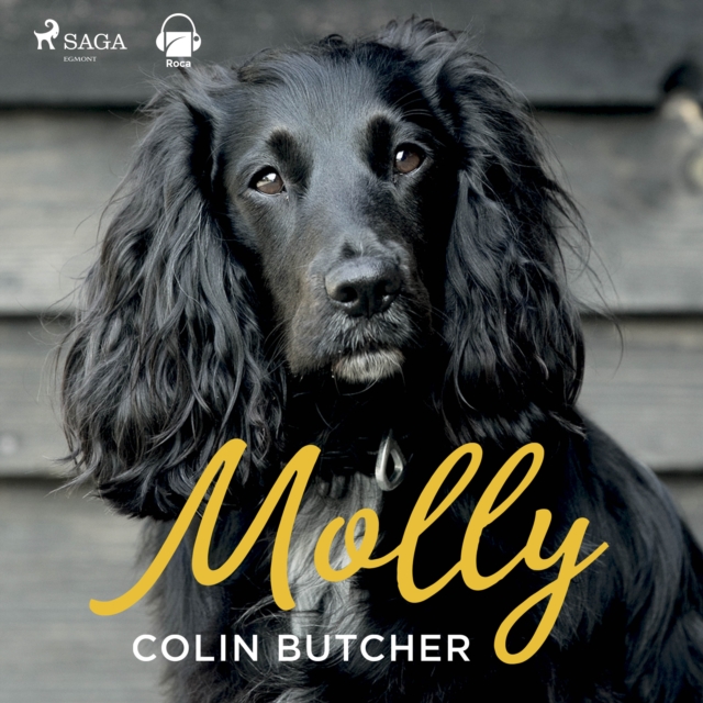 Molly, eAudiobook MP3 eaudioBook