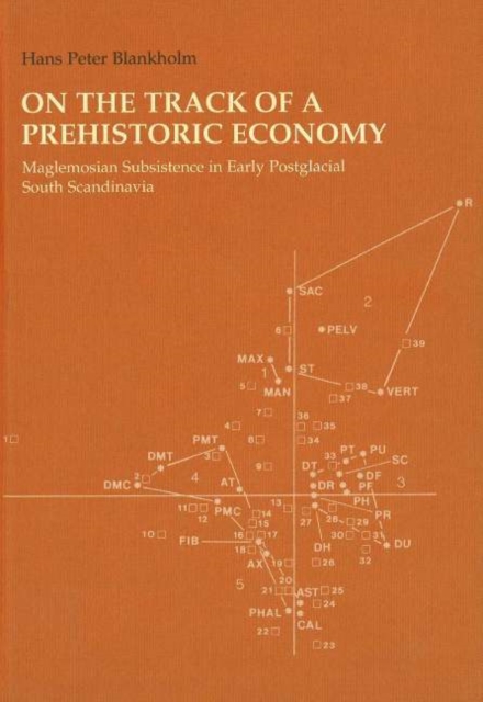 On the Track of a Prehistoric Economy : Maglemosian Subsistence in Early Postglacial South Scandinavia, Hardback Book