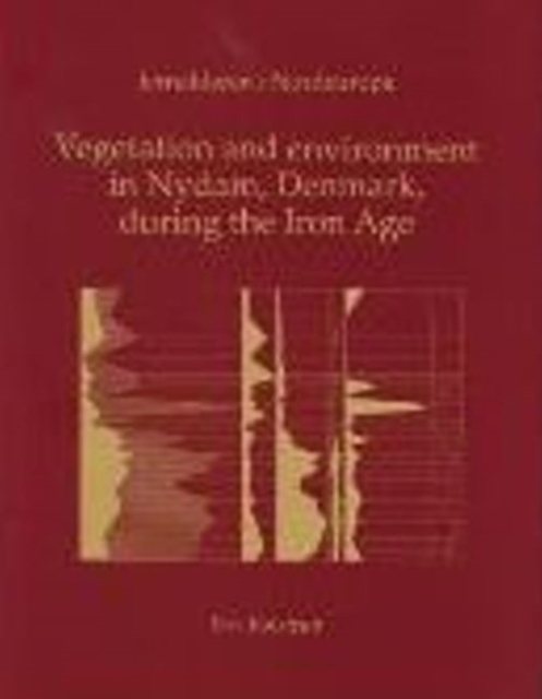 Vegetation and Environment in Nydam, Denmark during the Iron Age, Paperback / softback Book