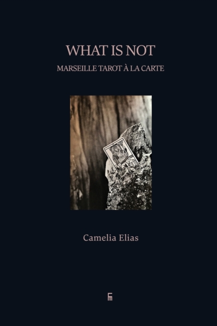 What is not : Marseille Tarot ? la carte, Paperback / softback Book