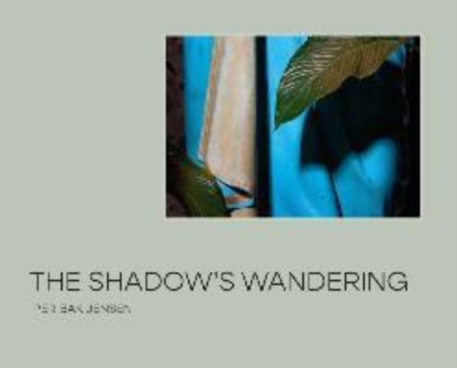 The Shadow’s Wandering, Hardback Book