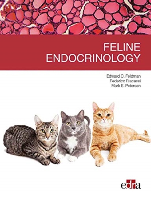 FELINE ENDOCRINOLOGY, Paperback Book