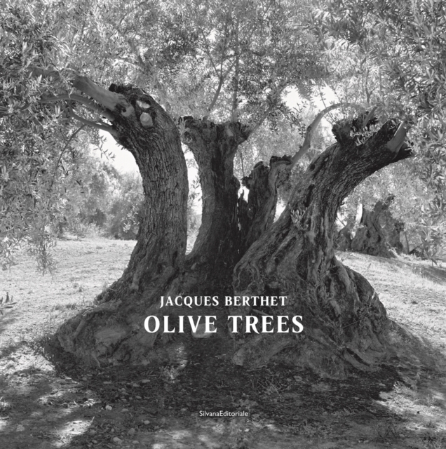 Olive Trees : Jacques Berthet, Paperback / softback Book