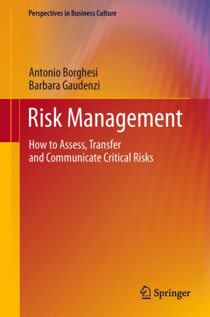 Risk Management : How to Assess, Transfer and Communicate Critical Risks, PDF eBook