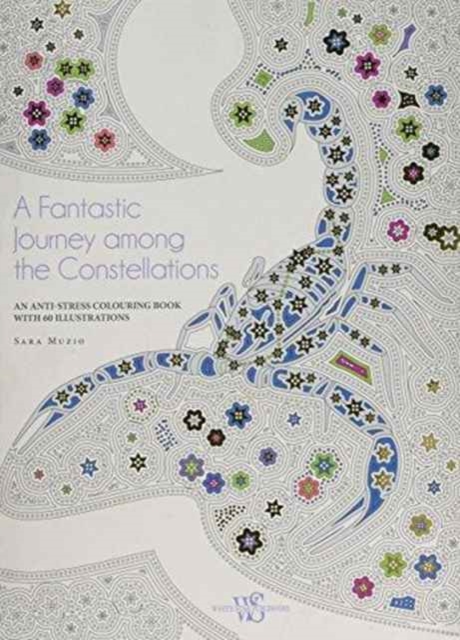 Fantastic Journey among the Constellations, Paperback / softback Book