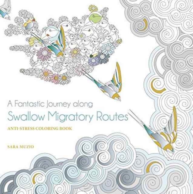 Fantastic Journey Along the Swallows Migratory Routes, Paperback / softback Book