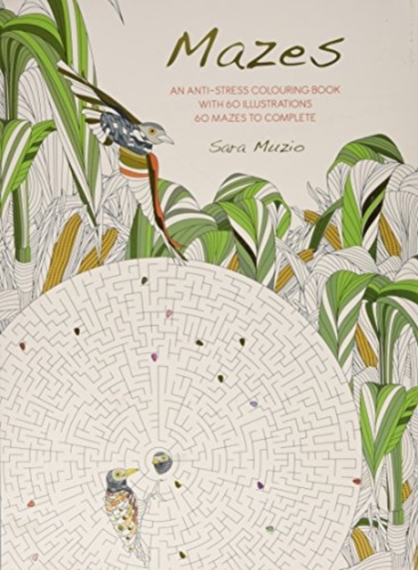 Mazes: An Anti-Stress Coloring Book with 60 Illustrations, Paperback / softback Book