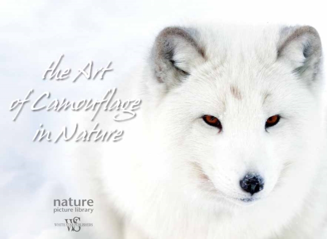 Hidden in Nature: Art of  Animal Camouflage, Hardback Book