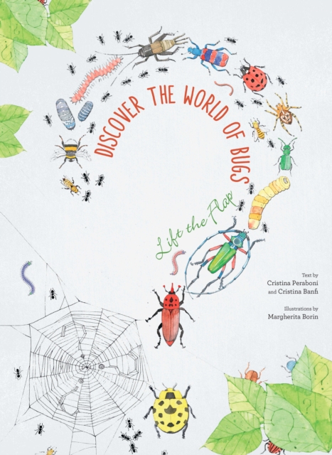 Flip the Flap: Discover the World of Bugs, Board book Book