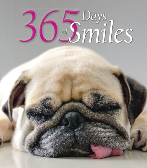 365 Days of Smiles, Hardback Book