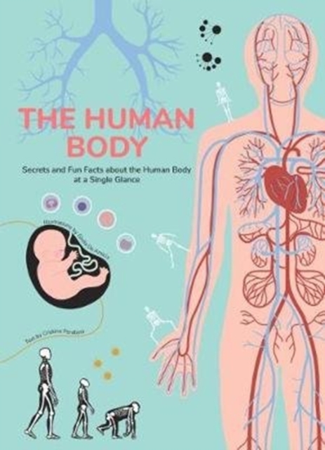 Human Body : Secrets and Fun Facts About the Human Body at a Single Glance, Hardback Book