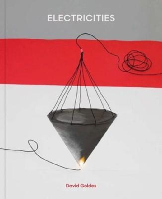 David Goldes: Electricities, Hardback Book