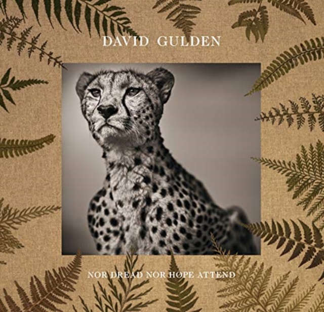 David Gulden: Nor Dread Nor Hope Attend : Photographs From The Plains of Africa, Hardback Book