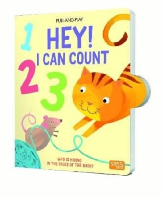 Hey! I Can Count, Hardback Book